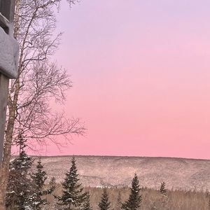 Meet your Posher, Nora